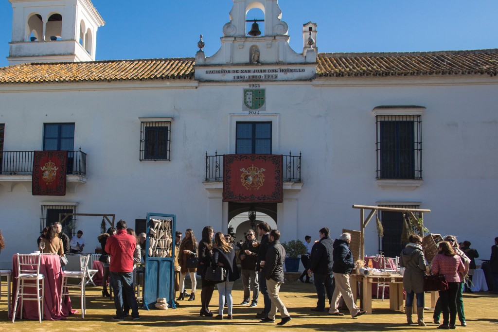 Jornadas de puertas abiertas San Juan del Hornillo (1)